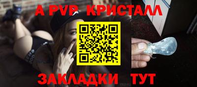 СК Волгодонск