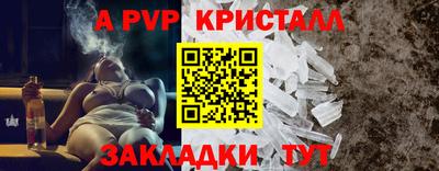 СК Волгодонск