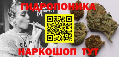 PSILOCYBIN Волжский