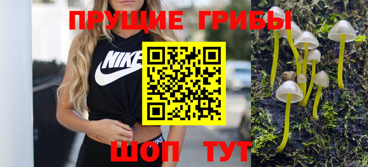 Галлюциногенные грибы GOLDEN TEACHER  Псилоцибиновые грибы Cubensis  магазин продажи наркотиков  Вход с VPN  Подольск 