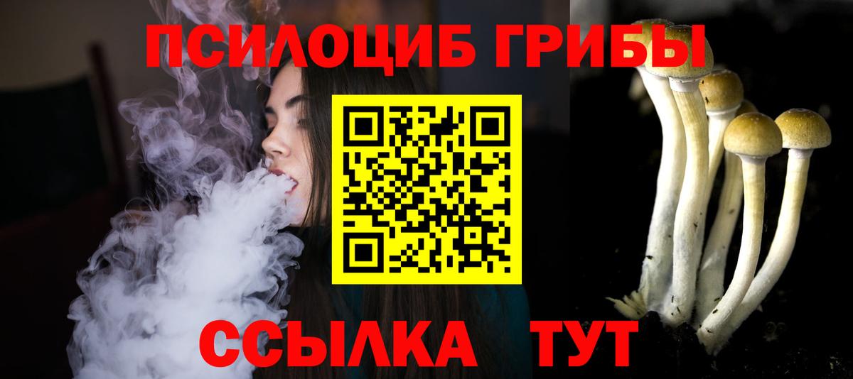 Галлюциногенные грибы Psilocybine cubensis Подольск